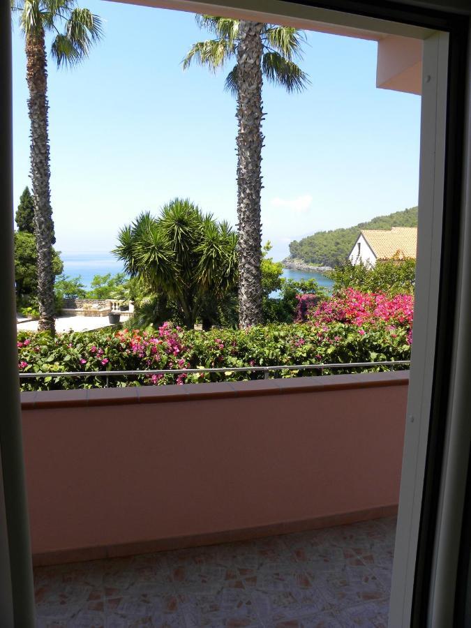 Comfortable Apartment In Maratea With Sea View 95 M² + Parking Eksteriør bilde